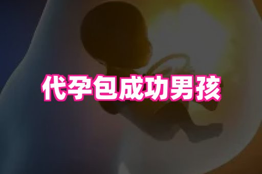 61助孕网 2