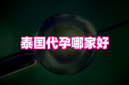 61助孕网 3